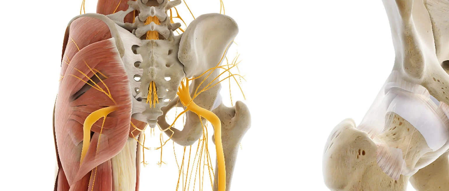 Prótesis ortopédicas de rodilla